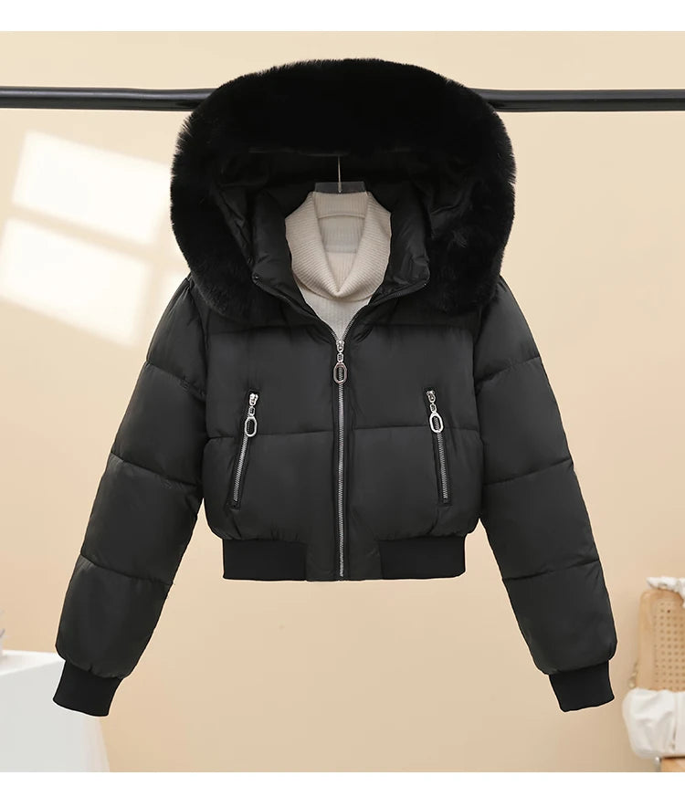 Korean Style Short down Cotton Jacket Women's Thickened Large Fur Collar Hooded Coat Slim Fit Commute Element  Color