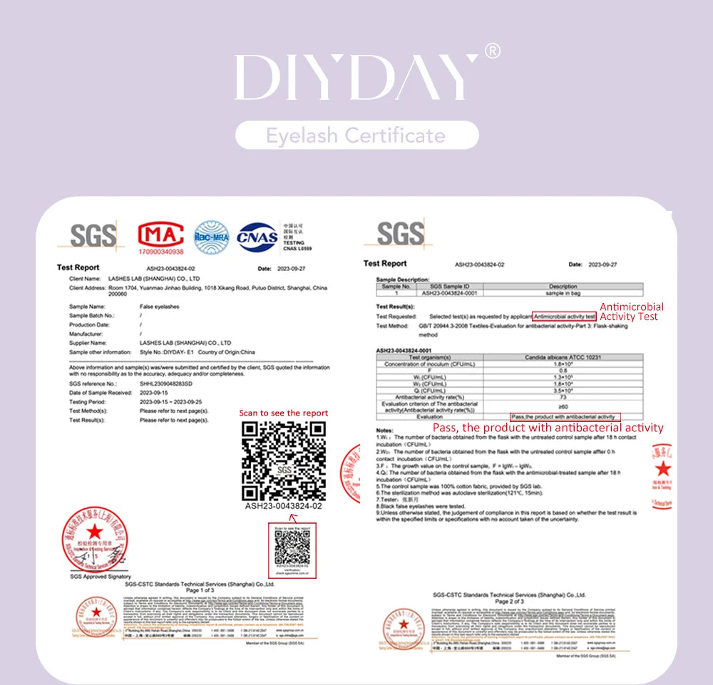 DIYDAY 3D W Lashes Extension 6D W Shaped Bloom Premade Eyelash Fans C D Curl Natural False Eyelashes for Extension Makeup