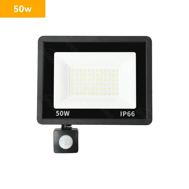Led Spotlight With Motion Detector Outside Waterproof 220V 10W 20W 30W 50W 100W Street Ice Lamp Led Projector Lighting Focus