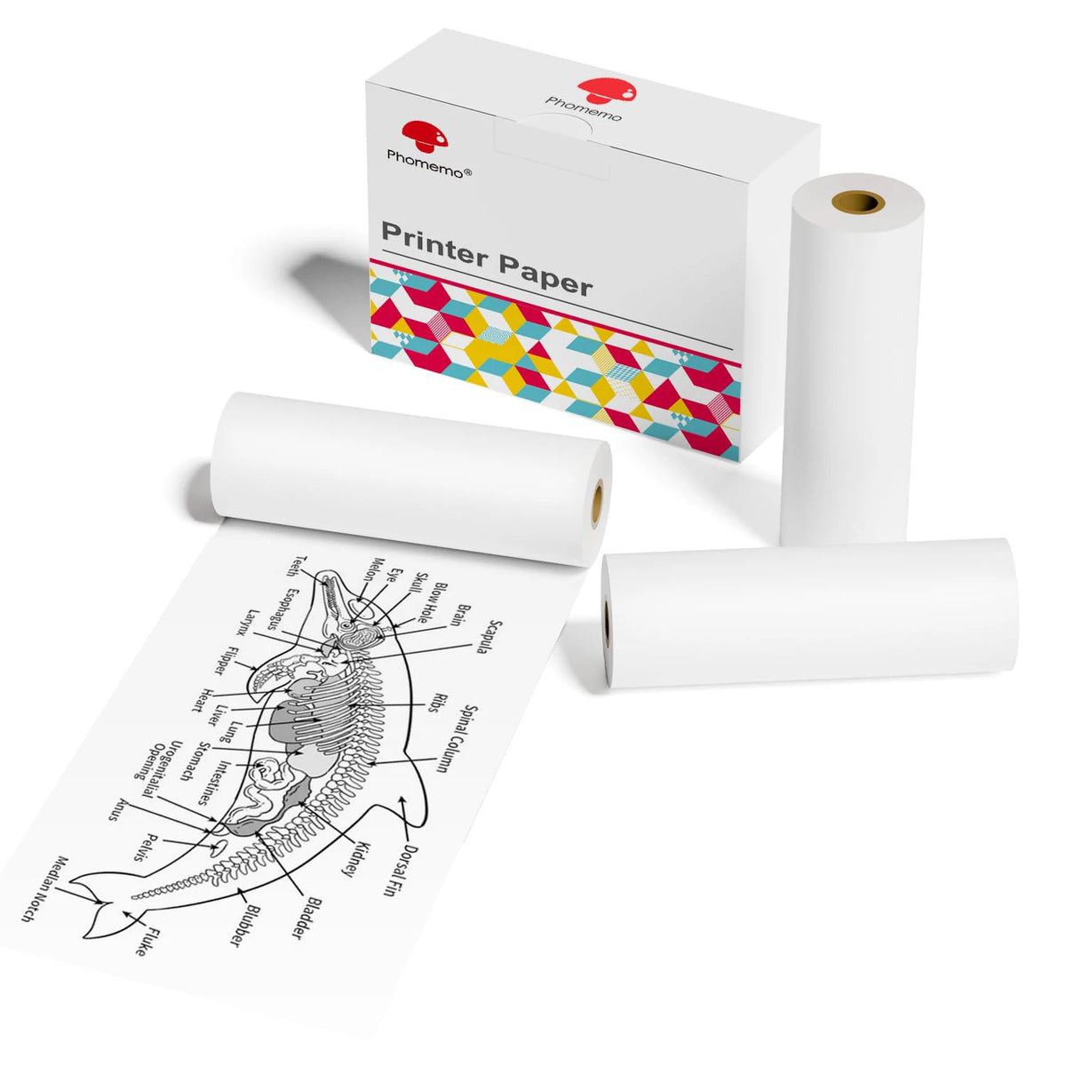 M04S Paper for M04AS Printer M03AS HD thermal Color Paper 80mm x 3.5m 3rolls Works in Phomemo M03/ M03AS/M04S/M04AS Printer