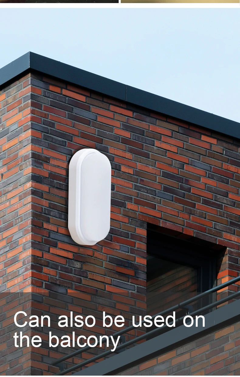 Oval Wall Lighting 12W Modern LED Outdoor Surface Mounted Waterproof Bathroom Porch Wall Sconce Aisle