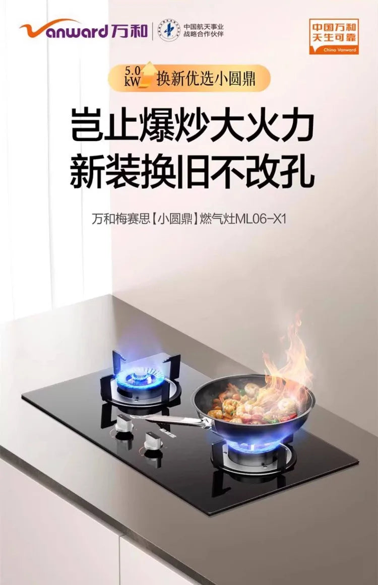 New Household Double Burner Gas Stove Built-in Desktop LPG Natural Gas High Fire Energy Class 1 Cooktop X1