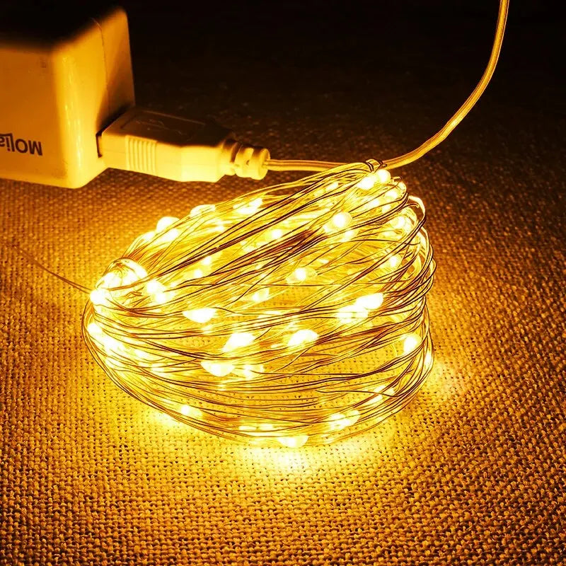 USB LED String Lights 5M Silver Wire Garland Light Waterproof Fairy Lights for Christmas Wedding Holiday Party Decoration