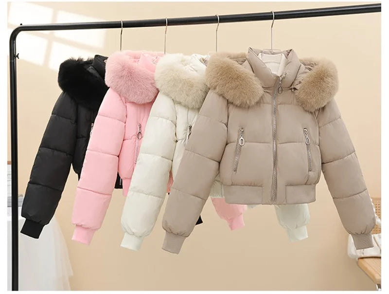 Windproof Warm Long Sleeve Jacket Fit Lady Down Coat Women Winter Cotton Coat Short Fur Collar Hooded Outerwear