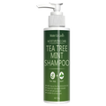 Tea Tree Mint Shampoo Natural Essence Revitalizes Hair. Dense Foam Cleansing. Strengthens. Smooths. Adds Volume Shine.