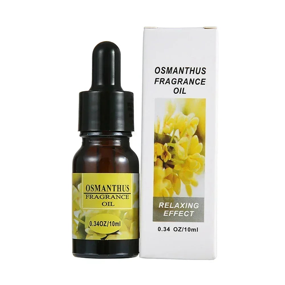 10ML Car Perfume Refill Liquid Flavor Essential Oil with Dropper Car Air Freshener Refill For Air Humidifier Home Auto Fragrance