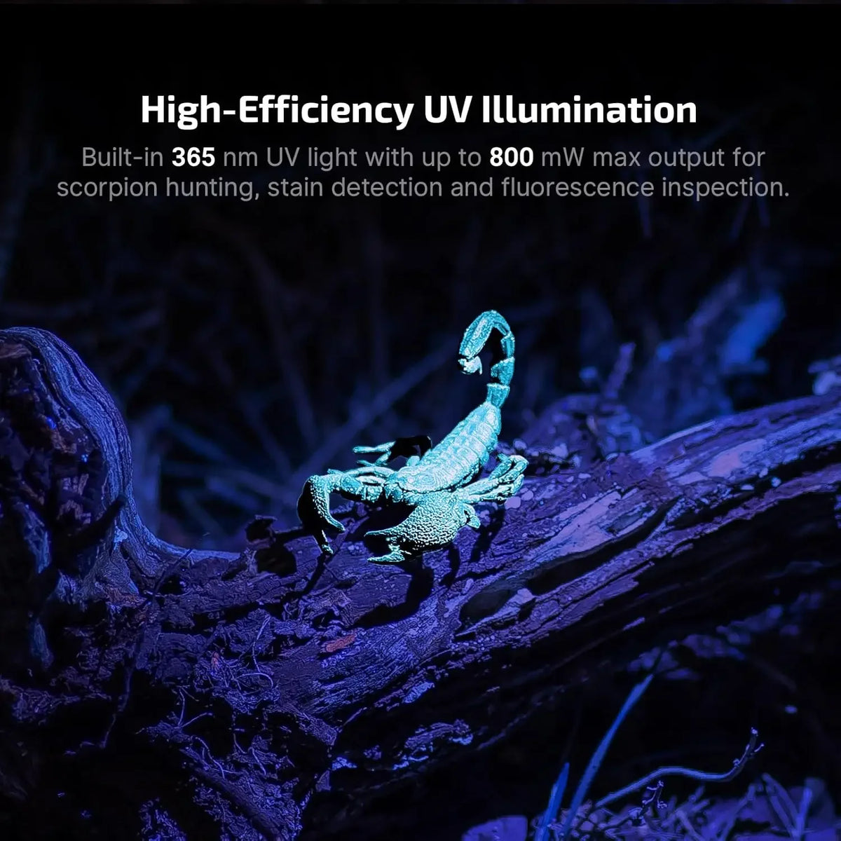 OLIGHT Oclip Pro S EDC Flashlight Clip-on Light, 600 Lumens Type-C Rechargeable with White LED, UV and RGB, Flash Lights