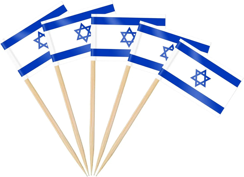 100 Pcs 10 Countries Toothpick Flags, Mini Flag Cupcake Toppers,Different Countries Flags Cocktail Picks for Party Decorations