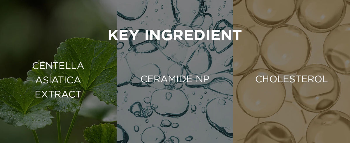 SKIN1004 Madagascar Centella Soothing Cream Korean Face Barrier Repair Hydrating Moisturizer Cica Cream Korean Skin Care 75ml
