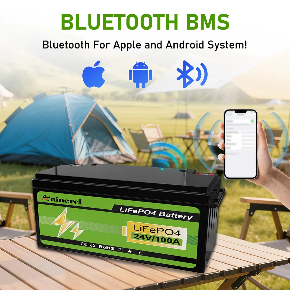 Aninerel  24V 100Ah 2560Wh Lithium LiFePO4 Battery with 100A BMS Perfect for RV Golf Cart Solar Power System Trolling Motor