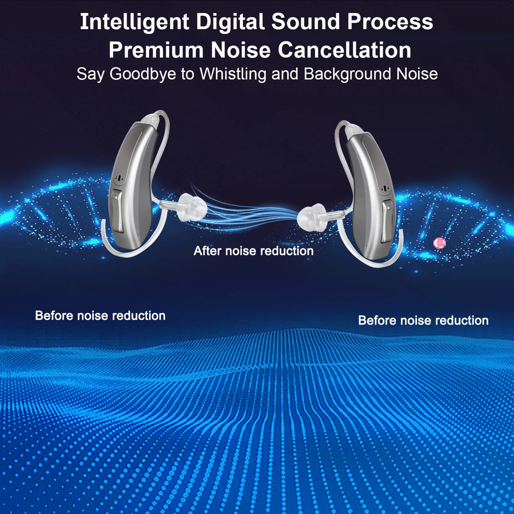 Hearing Aid High Quality 16 Channel Digital Bluetooth Hearing Aids for Seniors Adult Deafness Hearing Aid Rechargeable Audifonos