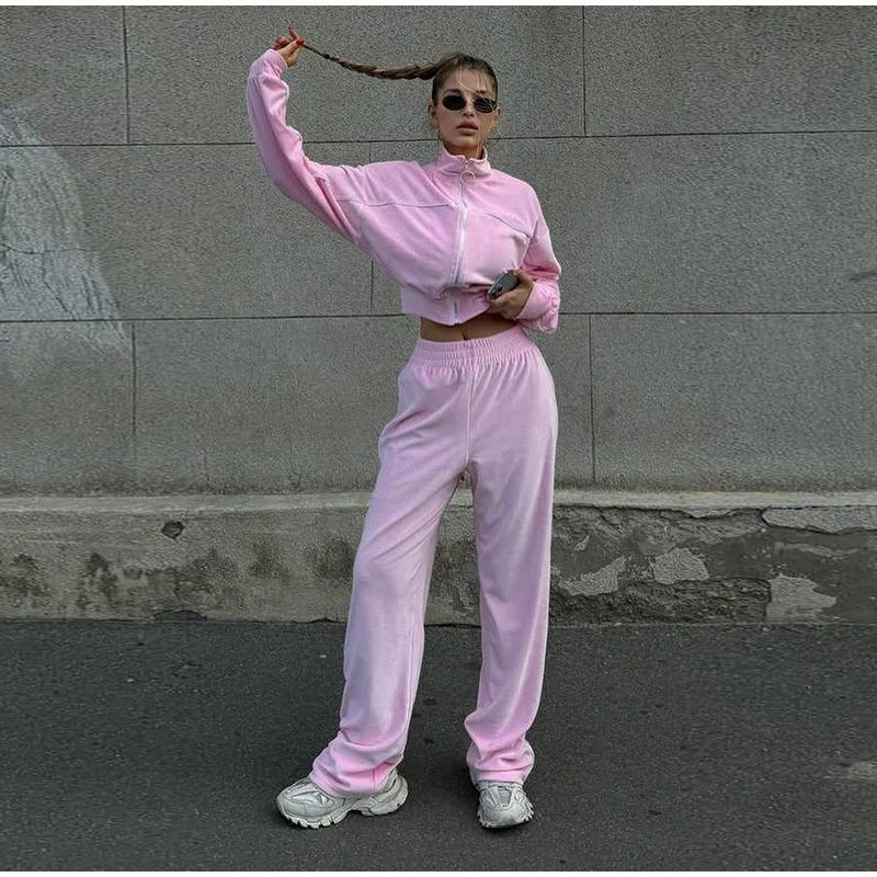 Women's Casual Solid Color Two-piece Short Stand-up Collar Jacket Wide-leg Pants 2026 Street Style Women's Clothing Set