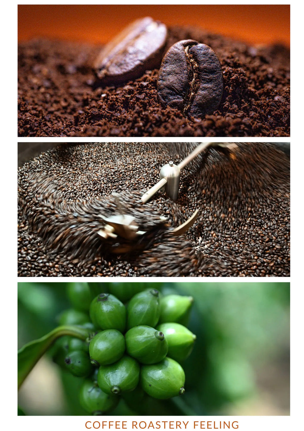 Dalakon Kon Tum Robusta Ground Coffee 0.25g Premium Light Roast Sweet Taste Caffeinated Vietnam 24 Months Factory Price Bag