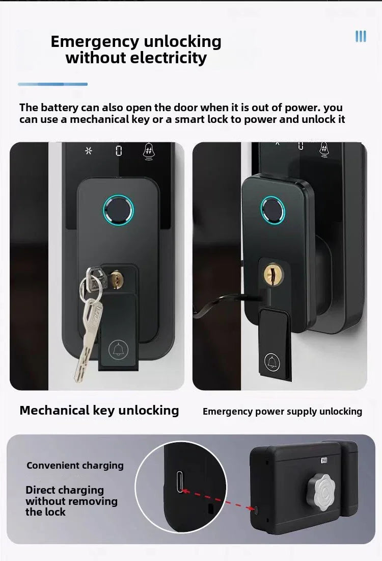 Outdoor Waterproof 3D Face Recognition Palm Scan Fingerprint Gate Lock Tuya Wifi App Password Digital Rechargeable Smart Lock