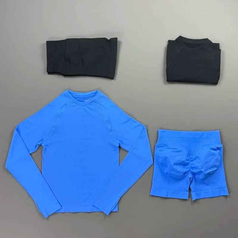 2 Piece Sports Set Women Workout Long Sleeve Top Seamless Shorts Sets Quick Dry Stretch Gym Fitness Running Yoga Athletic Outfit