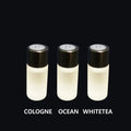 Aroma Oil Diffuser for Car  Air Oulet  Fragrance Diffuser 3 Scents Perfume Vehicle Air Freshener Good Smell Purifying Interior