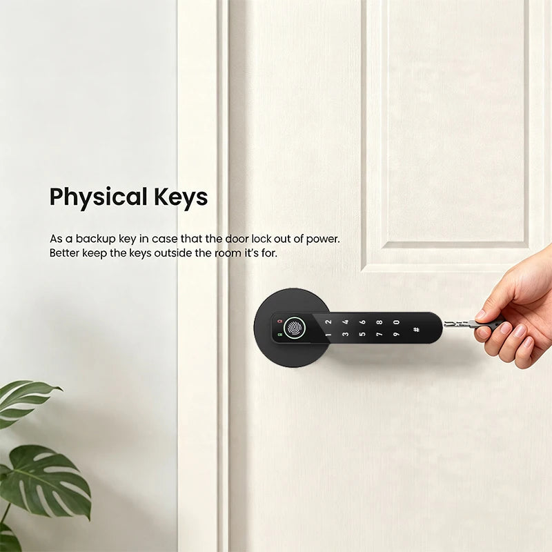 ICCSSI Tuya Electronic Digital Lock Smart Fingerprint Lock IC Card/Password/Fingerprint/key/APP Unlock for Apartment B208APRO