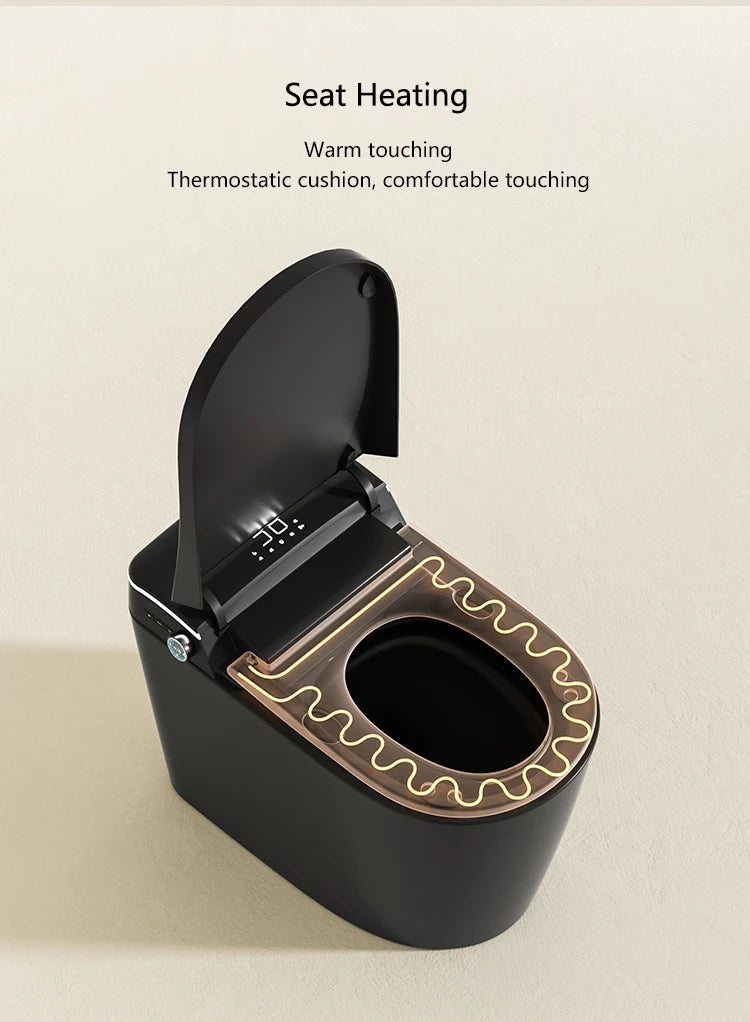 Modern Bathroom Smart Toilet Black Ceramic Automatic Electronic Control Bidet Wc Toilet