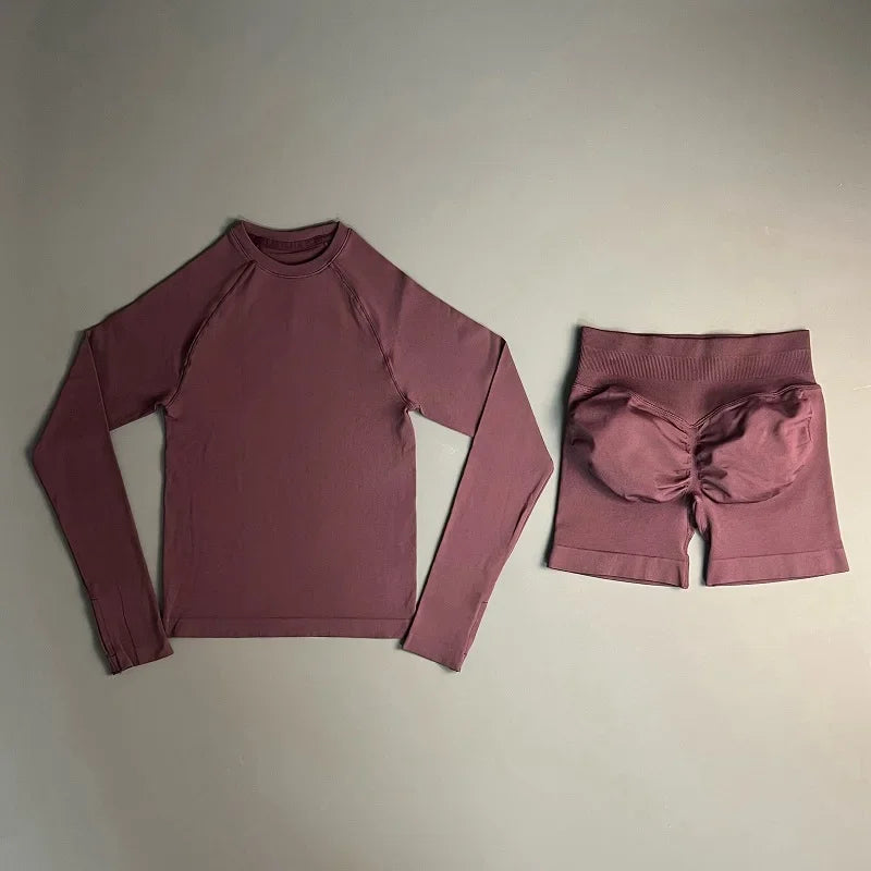 2 Piece Sports Set Women Workout Long Sleeve Top Seamless Shorts Sets Quick Dry Stretch Gym Fitness Running Yoga Athletic Outfit