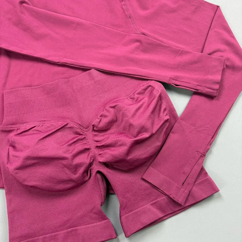 2 Piece Sports Set Women Workout Long Sleeve Top Seamless Shorts Sets Quick Dry Stretch Gym Fitness Running Yoga Athletic Outfit