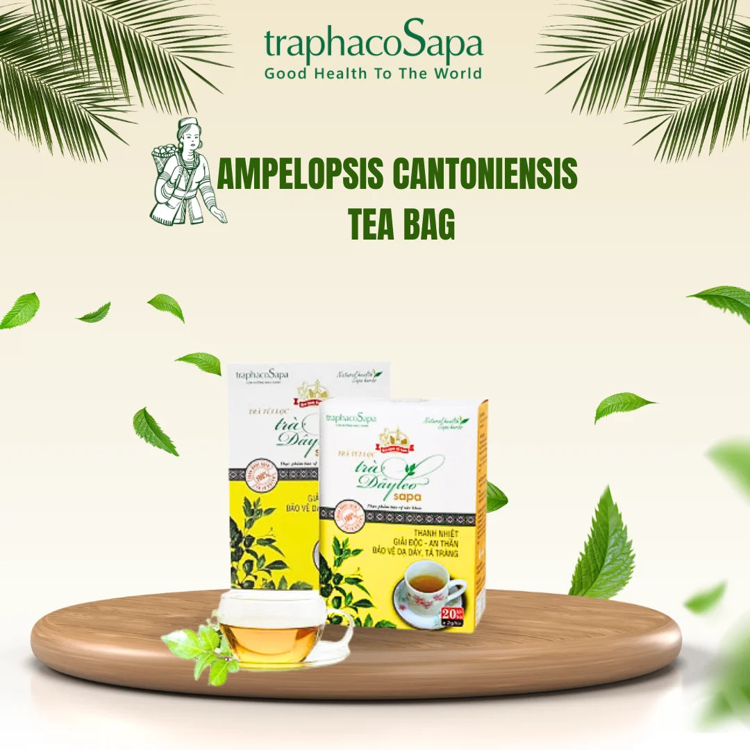 High Quality Tea Bag Ampelopsis Cantoniensis Herbal Health Tea 100% Natural Herbal Tea Stomach Support