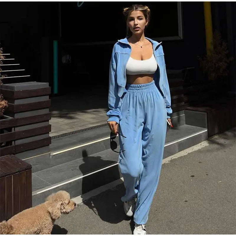 Women's Casual Solid Color Two-piece Short Stand-up Collar Jacket Wide-leg Pants 2026 Street Style Women's Clothing Set