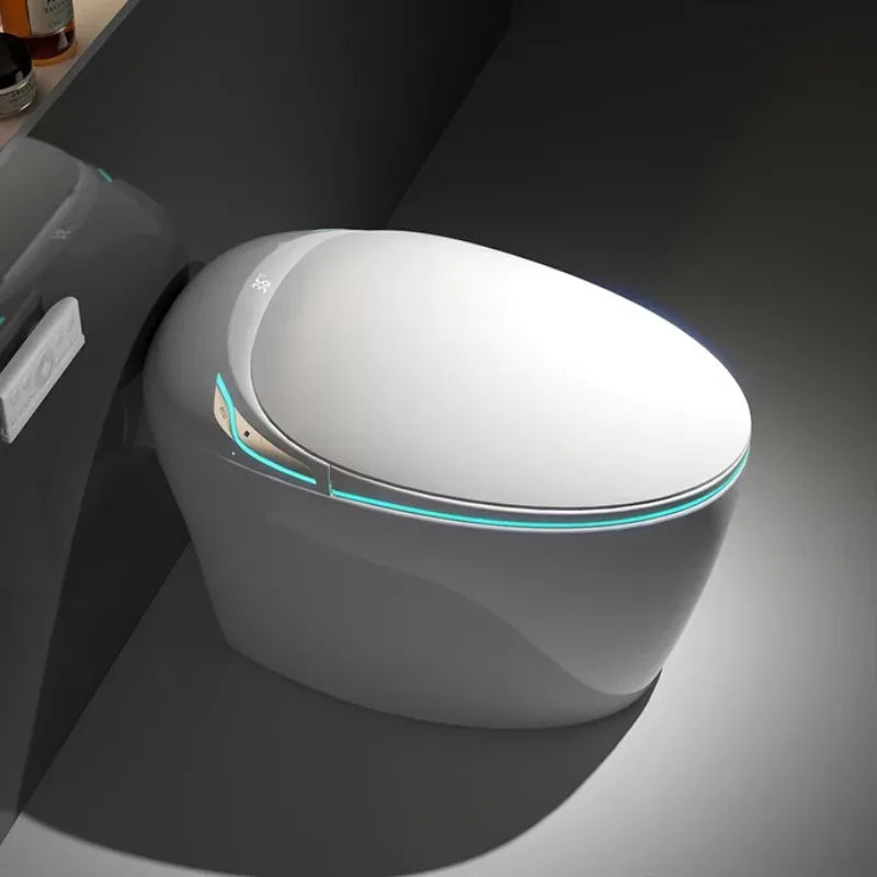 Fully automatic smart toilet, slender bowl seat with instant hot water tank, heating remote control - all features included