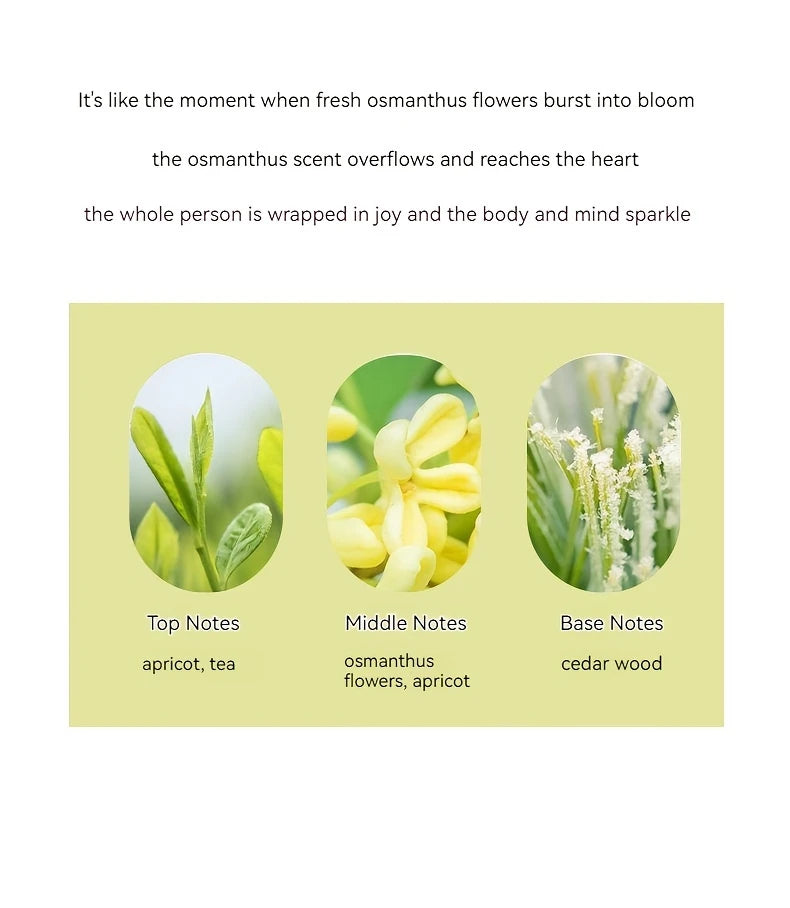 50ml Perfume With Long-lasting Fragrance Fresh And Light Rose And Jasmine Scent Holiday And Birthday Gift For Men And Women