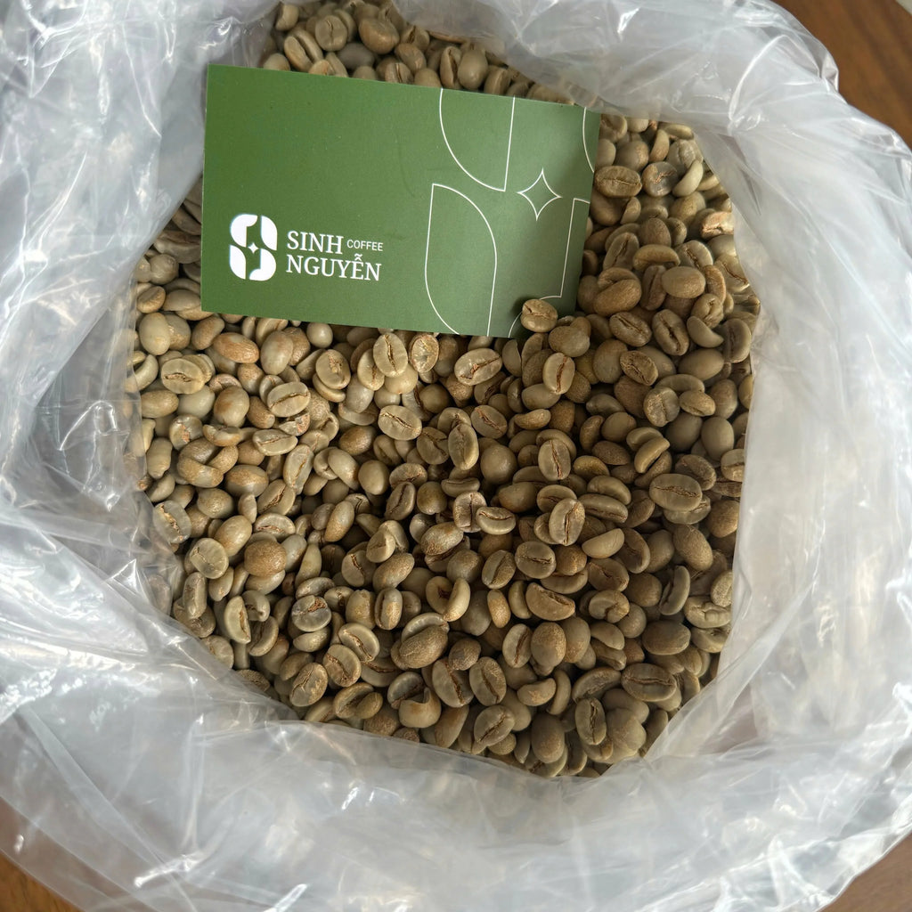 Arabica Green Coffee Beans Premium Honey Washed Process Fruity Sweet Aroma Vietnam 60kg Bag for Roasting Sinh Nguyen 24-Month