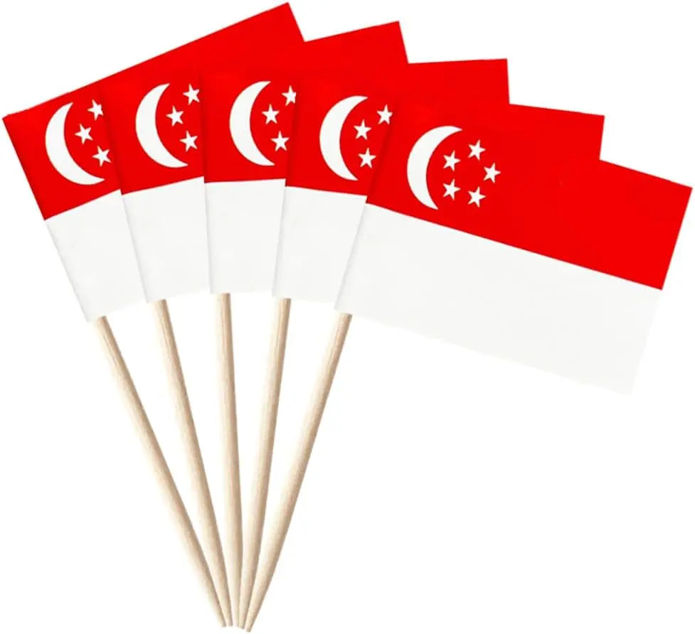 100 Pcs 10 Countries Toothpick Flags, Mini Flag Cupcake Toppers,Different Countries Flags Cocktail Picks for Party Decorations