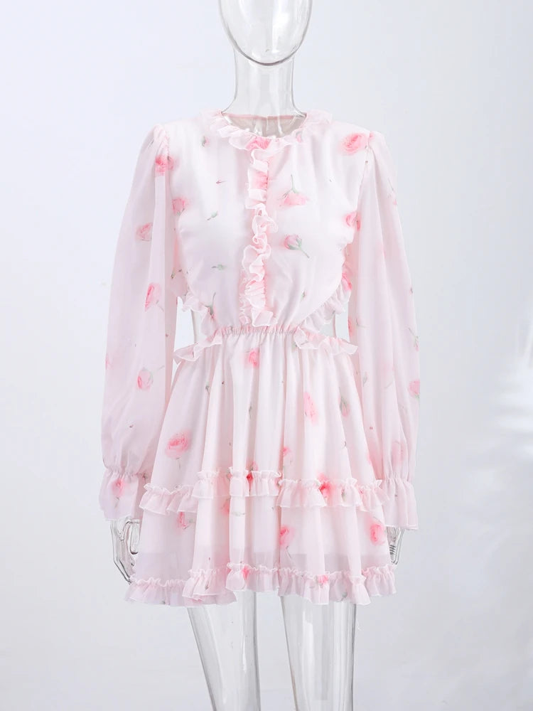 Women Rose Print Dress Puff Long Sleeve Mini Dress Sheer Mesh Ruffle Hem Button Front Fairy Party Short Dresses Summer Wear