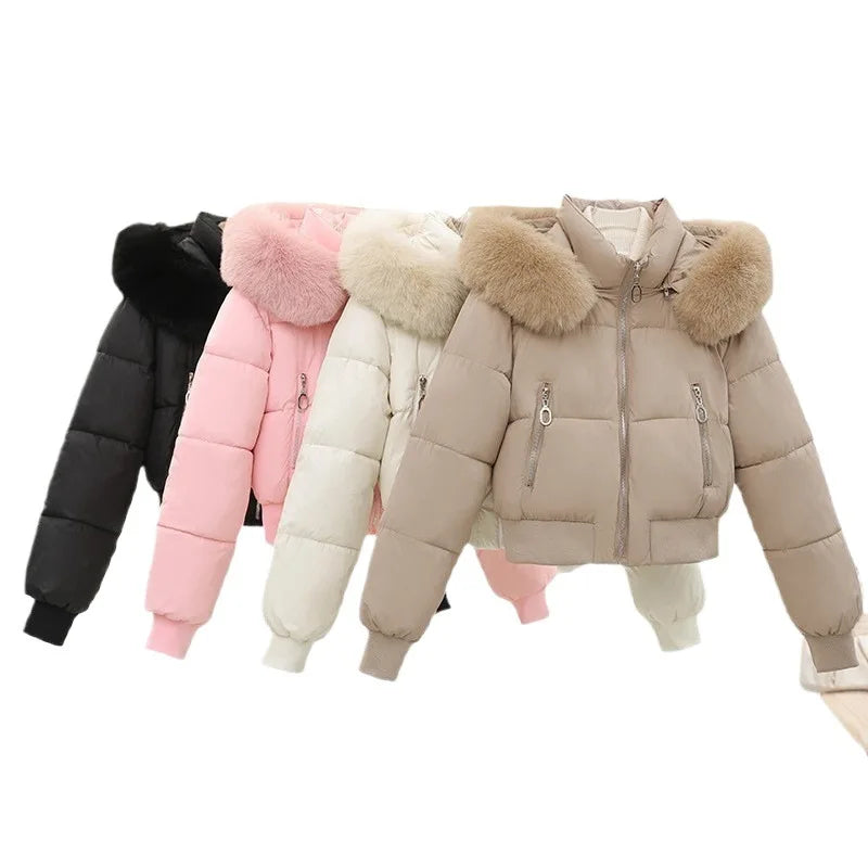 Winter Casual Versatile Cotton-Padded Jacket with Fur Collar Short Hooded Warm Coat New Style Women's Outdoor Puffer Jacket