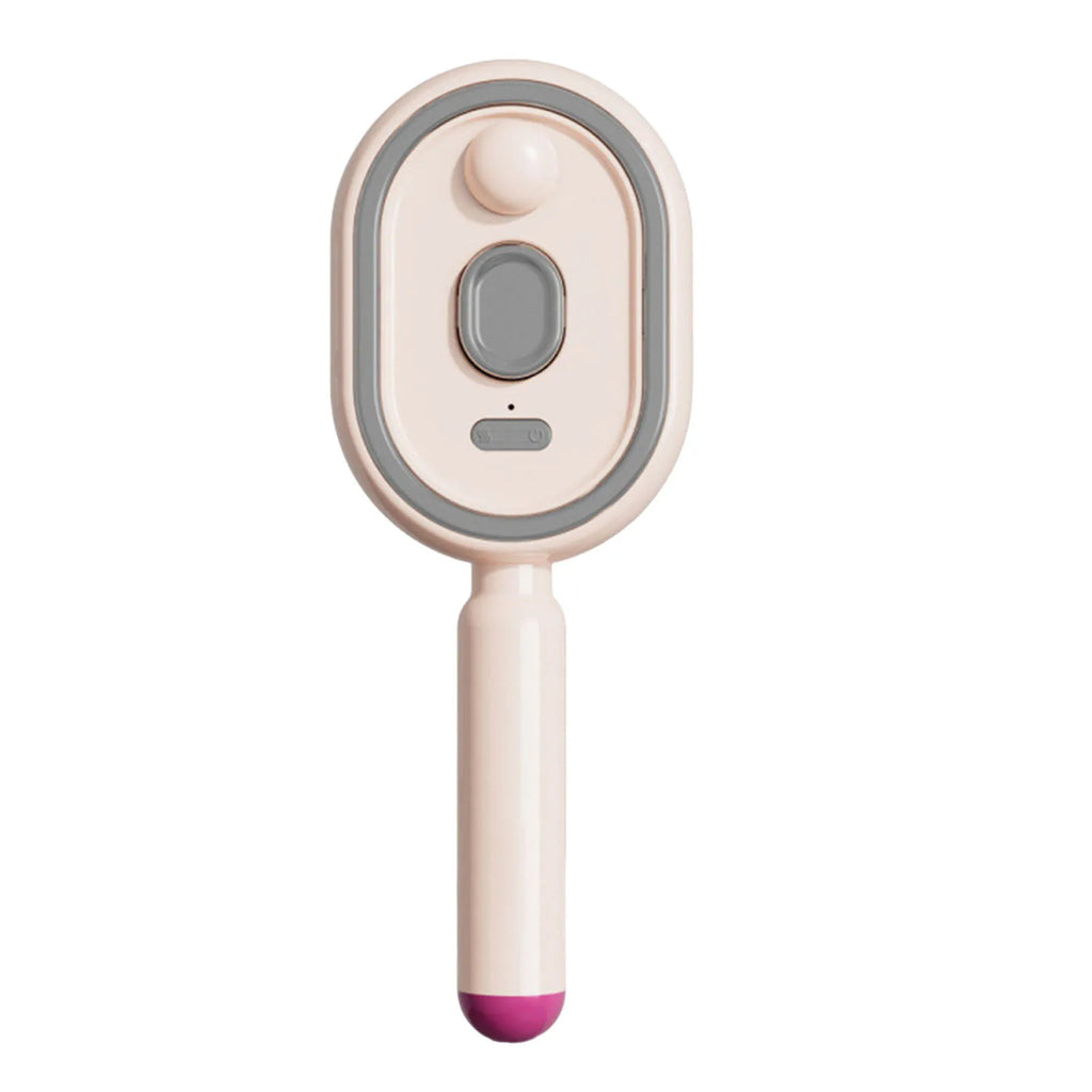 Electric Steam Brush with Water Spray Portable Cordless Hair Tool Anti-Static Red Light Hair Brush for Both Long & Short Hairs