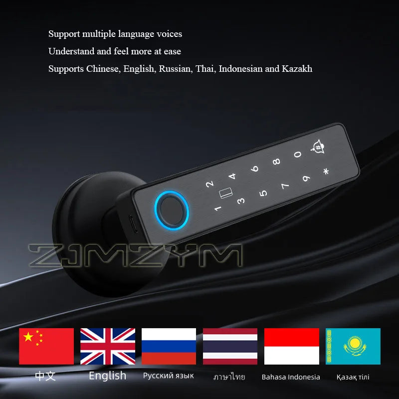 Tuya Smart Fingerprint Lock Financial Level Electronic Indoor Lock Handle Lock Support Password/Key/Bluetooth/APP Remote Unlock