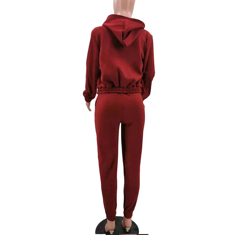 Casual Zipper Set Full Length British Style Elegant Commuting with Winter Long Sleeve Regular Sleeve Vest Plus Jacket Women Sets