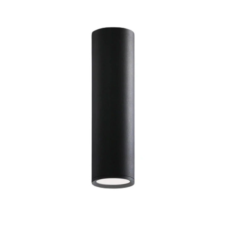 Nordic Light Indoor Lighting Led Ceiling Lamp Long Tube Surface Mounted Spot Light For Living Room Bedroom Corridor Store Art