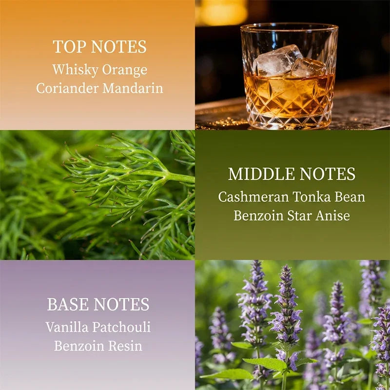 Luxury Amber Cedar Perfume 100ml,long-lasting Citrus-floral Notes,oriental-woody Eau De Toilette,charming Captivating Romantic
