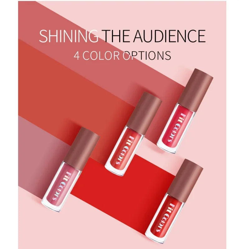 Fit Colors 4-Piece Velvet Lip Gloss Set - Non-Transfer Matte Diamond Finish Long-Lasting Waterproof Lip Gloss Collection