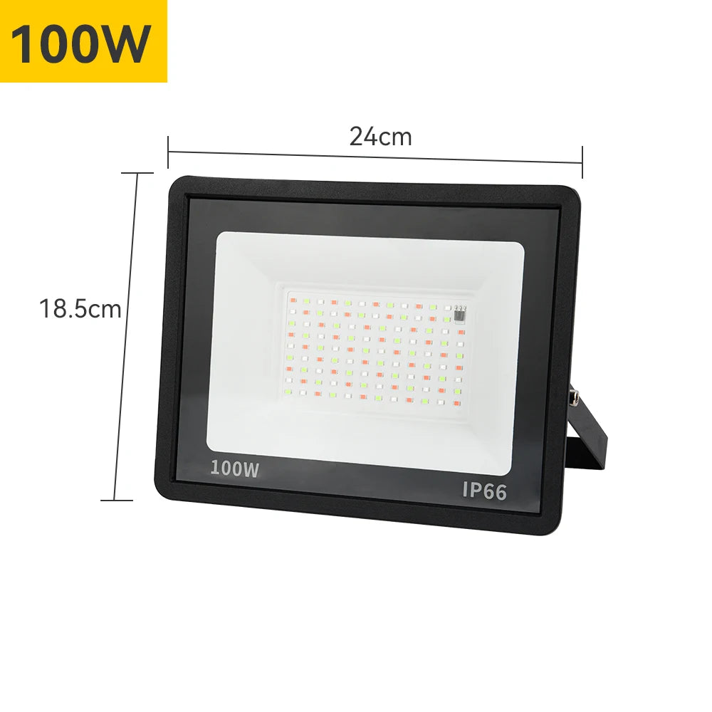 RGB LED Floodlight Reflector Outdoor Lighting 220V 30W 50W 100W IP66 Waterproof Outdoor RGB Spotlight Lamps Landscape Lighting