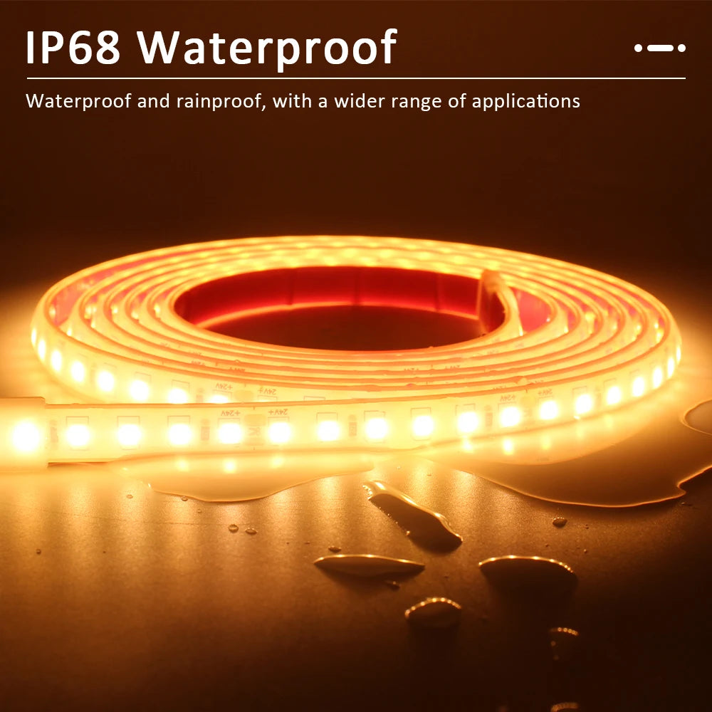 24V LED Strip Light IP68 Waterproof 1-20M SMD 2835 120LEDs Flexible LED Tape Ribbon Lamp Indoor Outdoor Lighting Park Fish Tank
