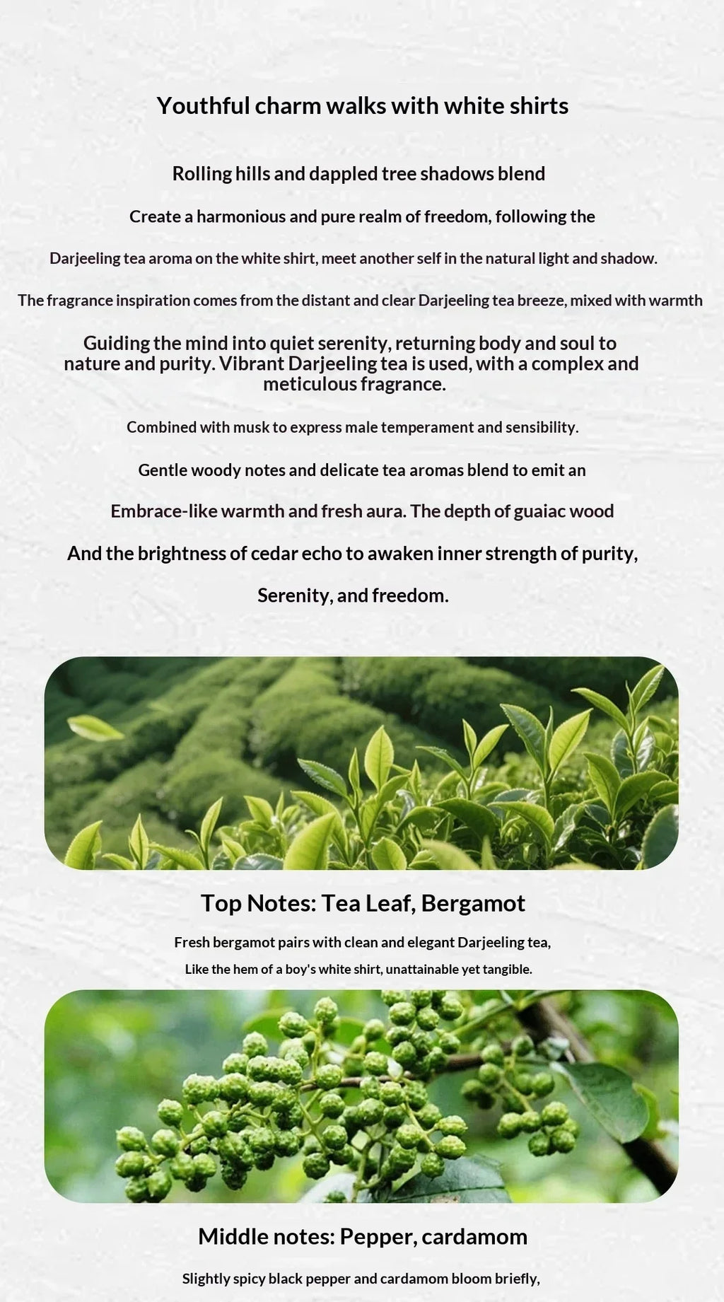 Summer Floral Aquatic Perfume 100ml Nile Garden Darjeeling Tea Long Lasting Light Scent Budget Friendly Fragrance homme Parfum