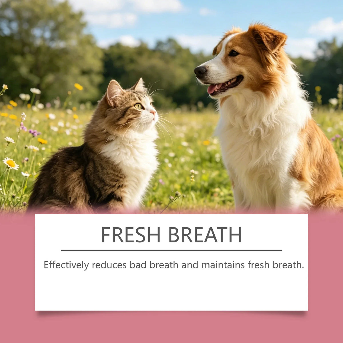 30ML Pet Oral Care Spray Gentle Formula Cleaning Teeth Stains Refreshing Breath Promote Gum Health Non-irritating Pet Oral Mist