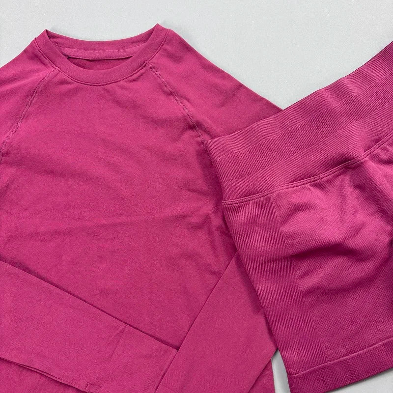 2 Piece Sports Set Women Workout Long Sleeve Top Seamless Shorts Sets Quick Dry Stretch Gym Fitness Running Yoga Athletic Outfit