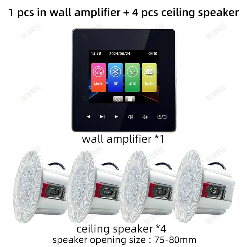 Home theater Background music system audio in wall power amplifier bluetooths player sound TF AUX control panel ceiling speakers