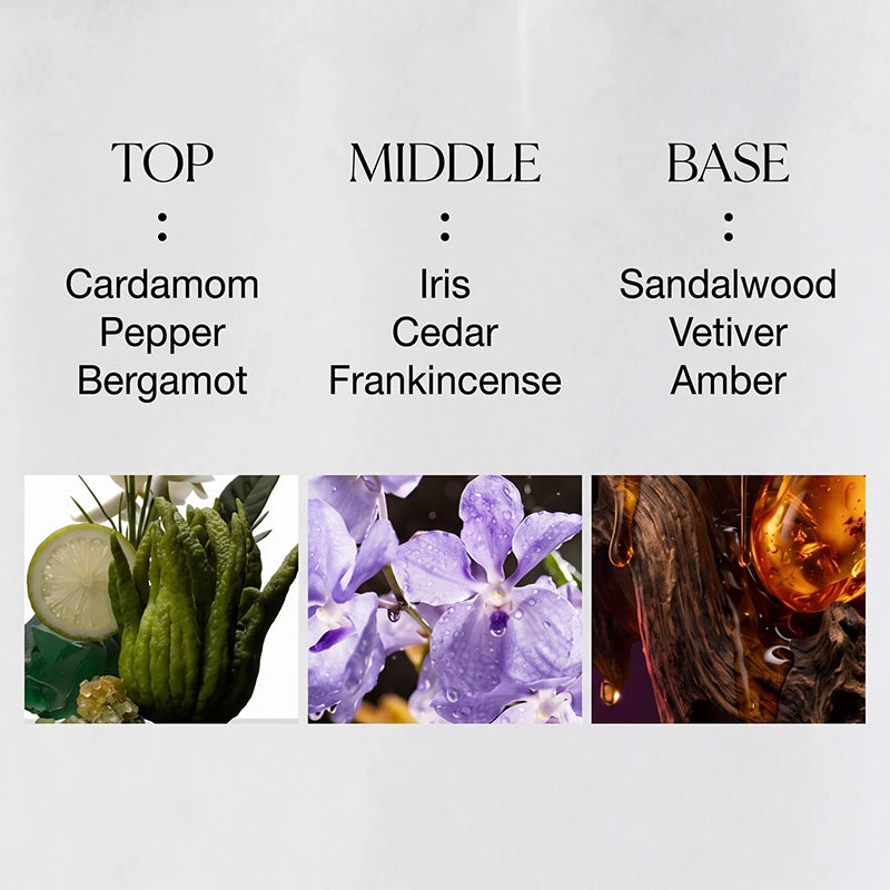 Unisex Salon Perfume Multiple Santal Woody Oriental Spicy Rose Another Vanilla Smoky Woody Floral Gourmet Scent Lasting Fragranc