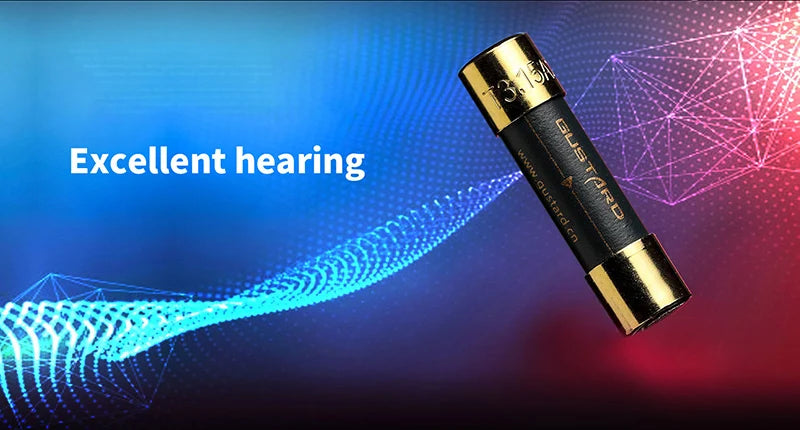 GUSTARD HIFI DAC Fuse Nano alloy High-end Fuse for U16 C16 X16 X18 P26 X22 A22 X26pro H20