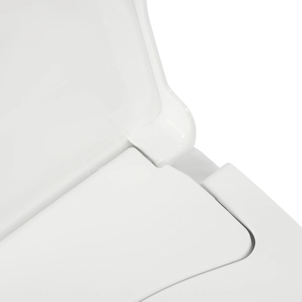 Non-Electric Bidet Toilet Seat Toilet Bidet Lid Fits Elongated Toilets, Dual Nozzle D-shaped with Cleaner Flush Hose