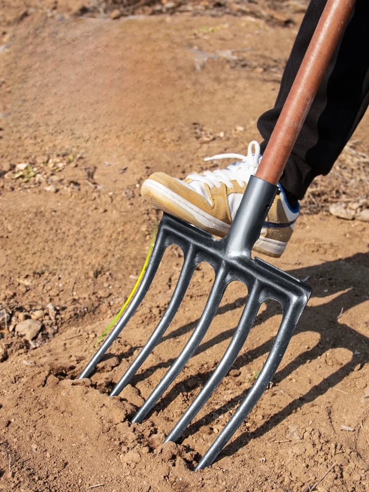 Soil Tilling Fork Farming Tool Four-Tooth Five-Digging Spade for Potato And Sweet Potato Garden Hand Tool Heavy Du Steel