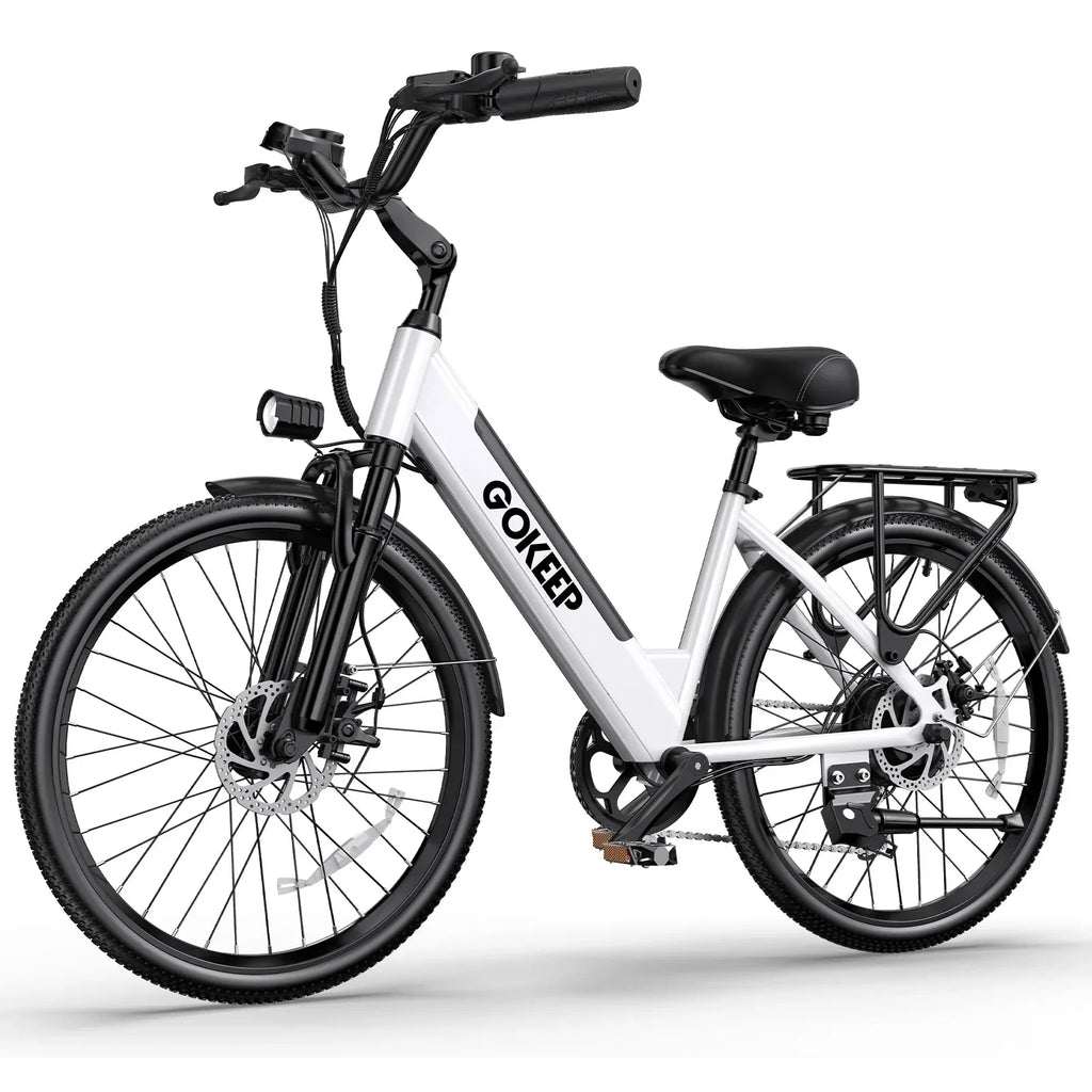 26-inch fashionable E-Bike, 600W brushless motor 48V-10.4ah lithium battery electric moped, adult electric bicycle