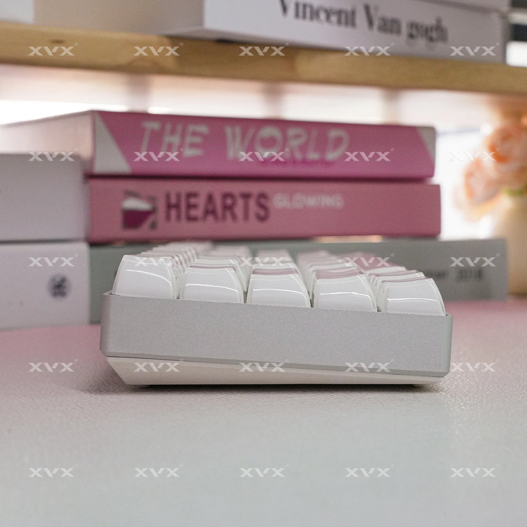XVX Jelly Crystal Keycaps Side Print Pink/Blue 113keys Double Shote DIY Mechanical Keyboard OEM Profile Translucent Keycaps